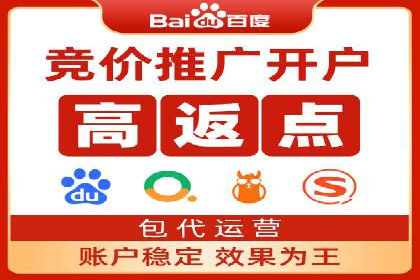 竞价SEM案例分享：行业霸主崛起之路
